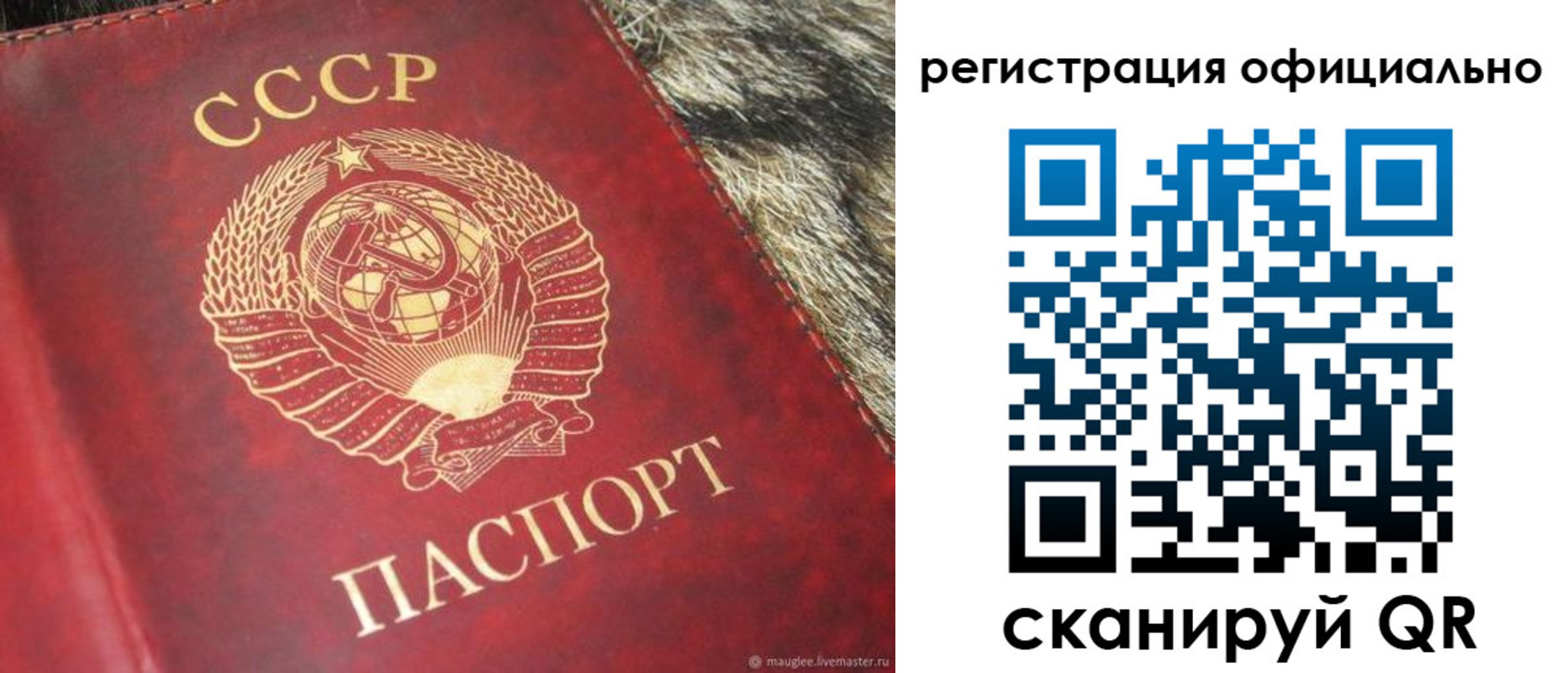 временная регистрация надежно в Бавлах